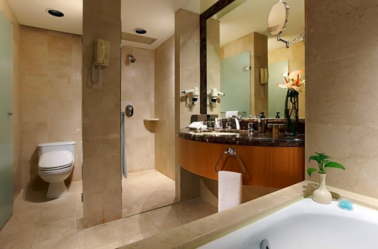 Deluxe Double room with view