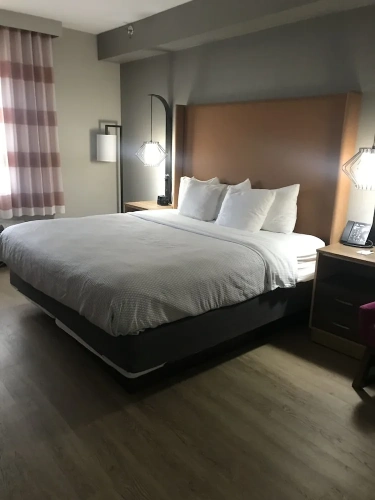 1 Bedroom Double Suite