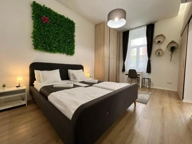 1 Bedroom Apartment
