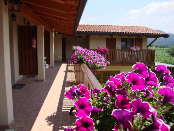 Standard Double room with garden view