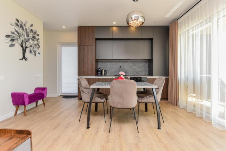 2Pilkos Lankos Apartaments