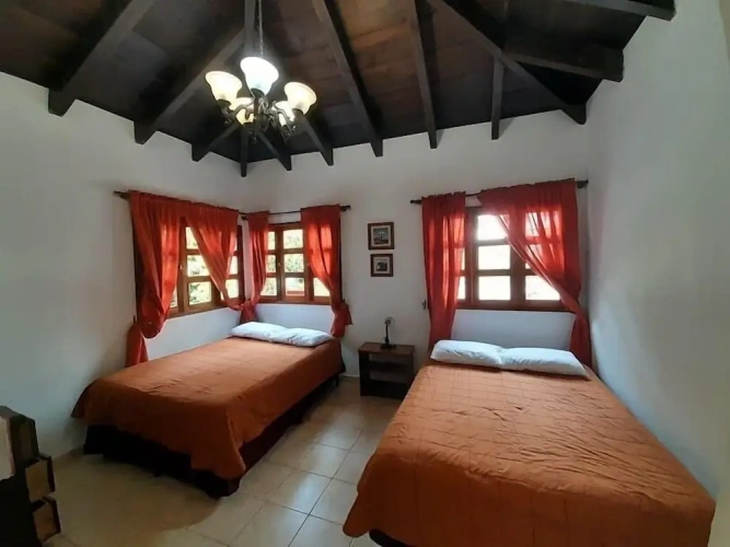 Standard Twin room with garden view