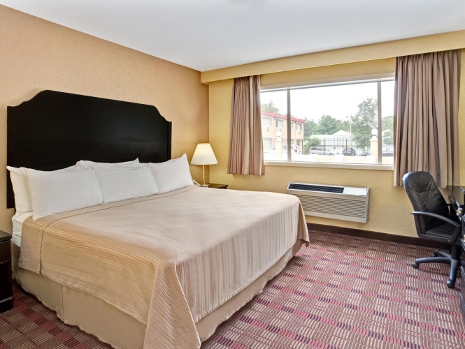 Standard Double room