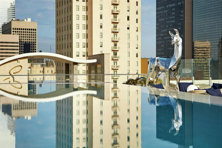 The Statler Dallas, Curio Collection by Hilton photo 22