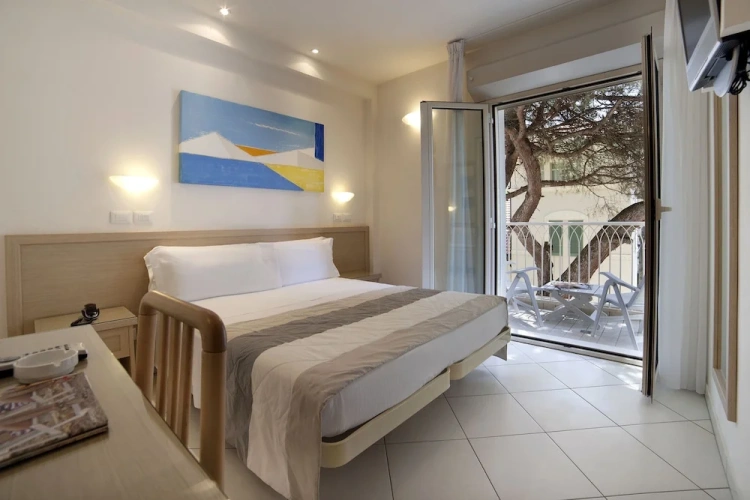 Standard Double room with balcony and with garden view