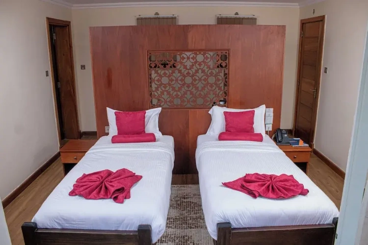 Deluxe Twin room