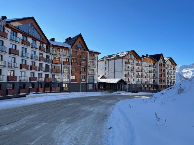 1 Bedroom Apartment