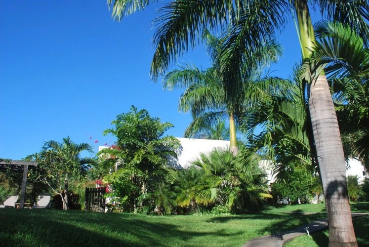 Casa Frangipani