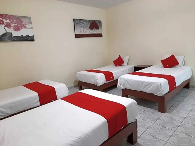 Standard Quadruple room