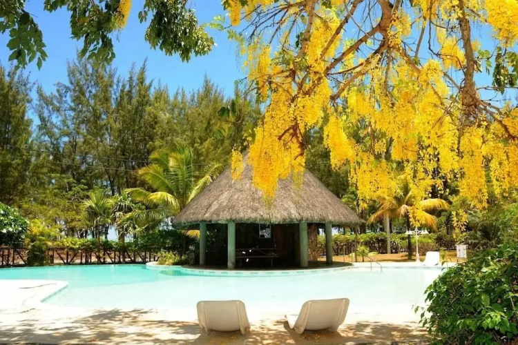 The Beach Retreat