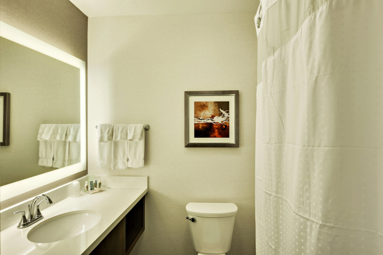 Holiday Inn St. George Conv Ctr photo 10