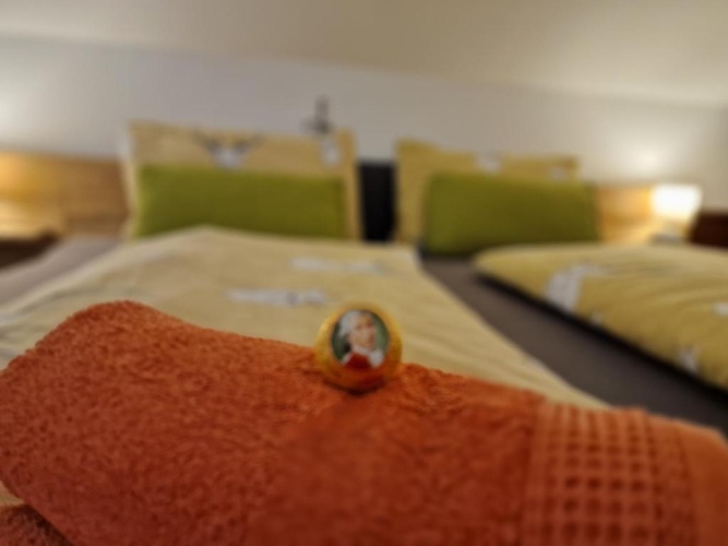 Standard Double room with mountain view