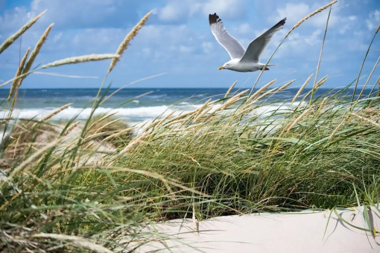 Spacious 9-guest Knokke Apt