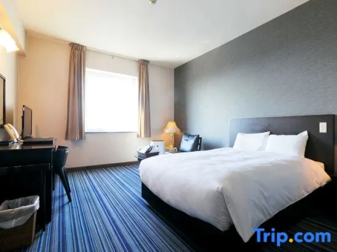 Standard Double room with city view