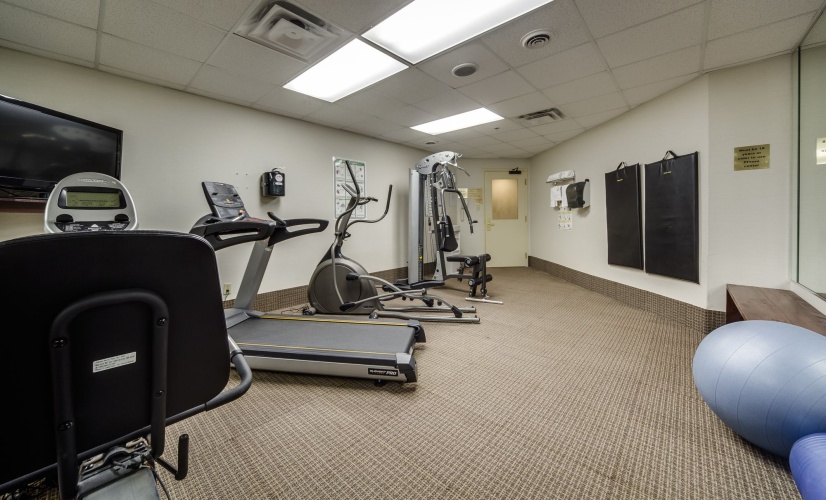 Monte Carlo Inn - Vaughan Suites photo 21
