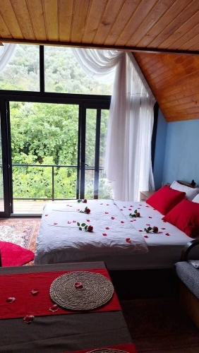 Standard Double Family room with garden view