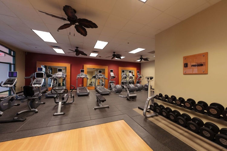 Embassy Suites by Hilton Grapevine DFW Airport North photo 26