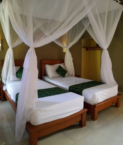 Standard Double room with view