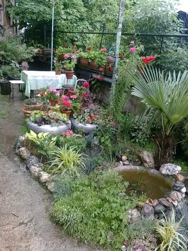 Guest House Medea