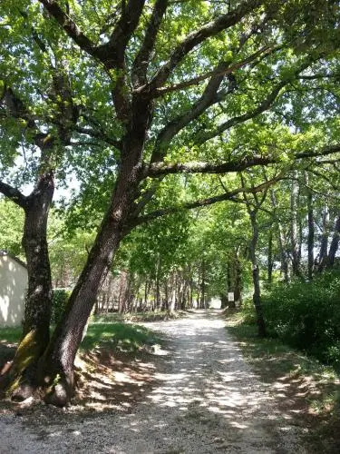 Camping Parc Saint Sauvayre