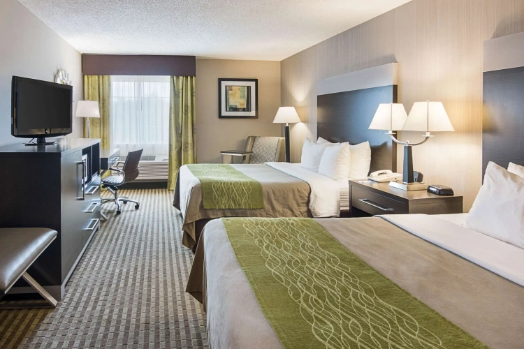 Standard Quadruple room