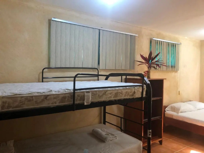 Palapa Hut Nature Hostel & Campground