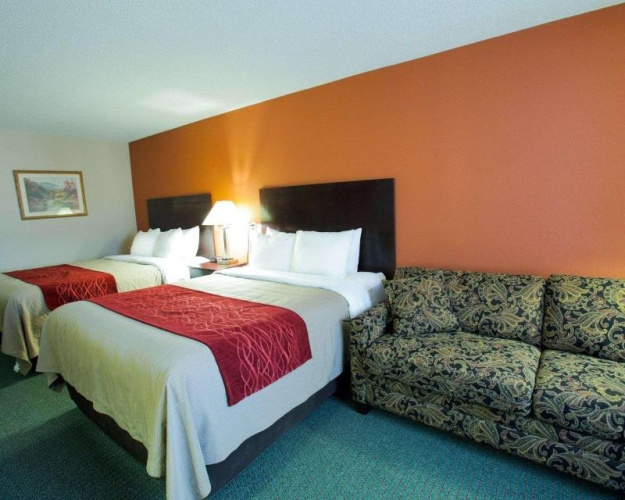 Standard Double room
