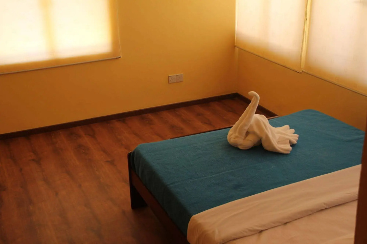 Fat Rhino Hostel