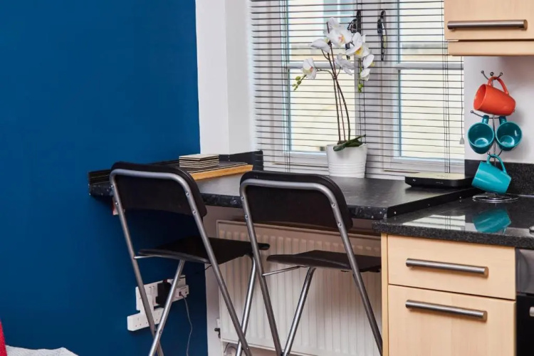 Boutique Bath Apartment Free Parking