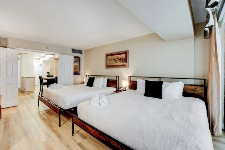 Executive Penthouse room