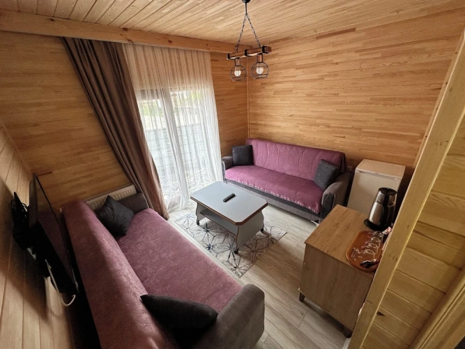 Economy Apartment