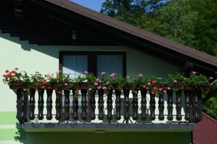 Zeleni apartma Zreče