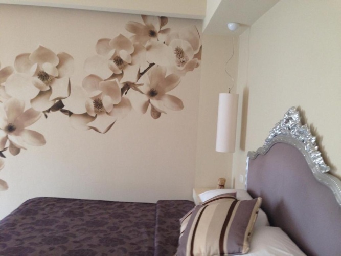 Superior Double room with balcony and with lake view