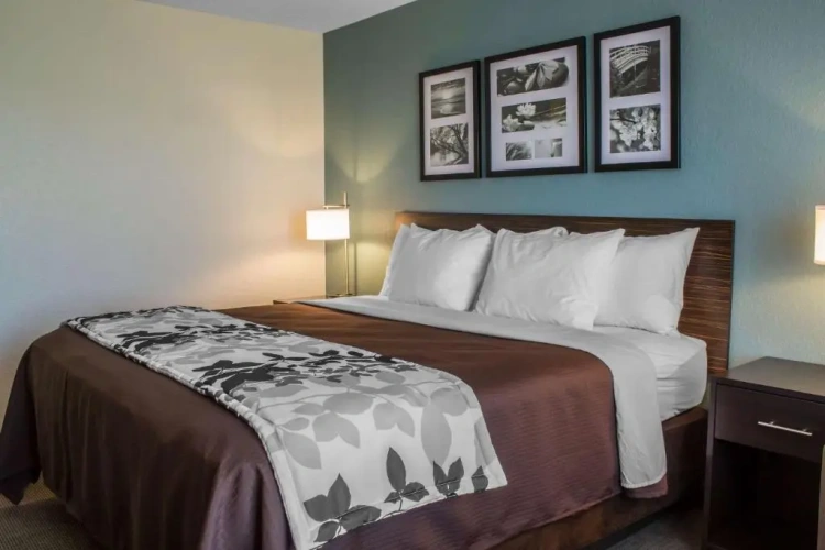 Standard room
