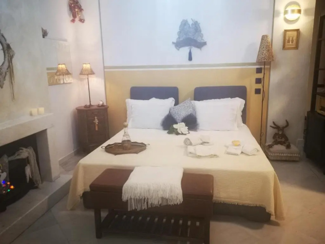 Cactus Suite