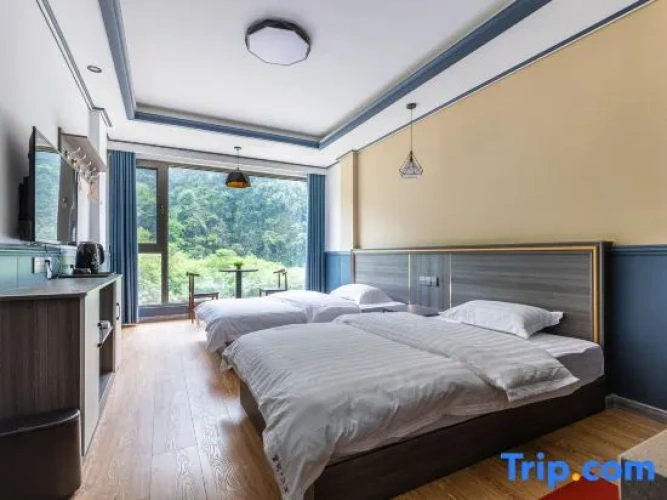 Deluxe Twin room with balcony and with river view