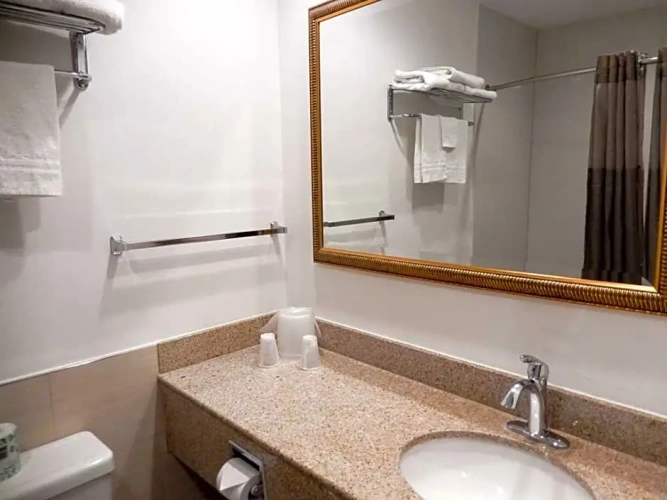Business Double room