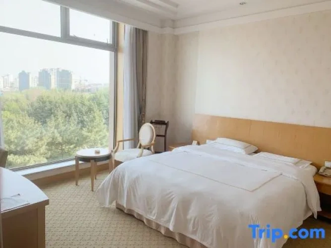 Business Suite