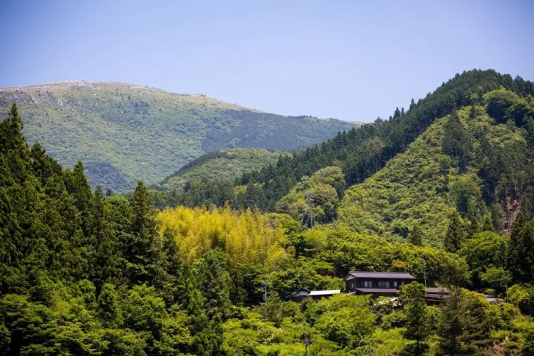 Washi Studio Kamikoya