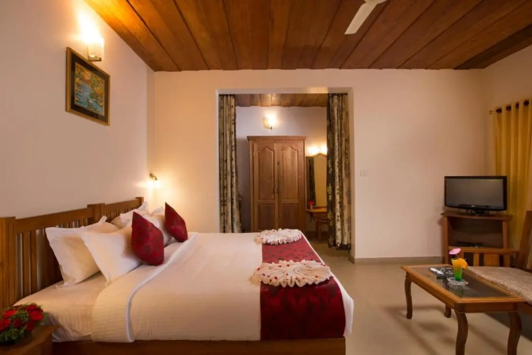 Deluxe room with balcony and with view