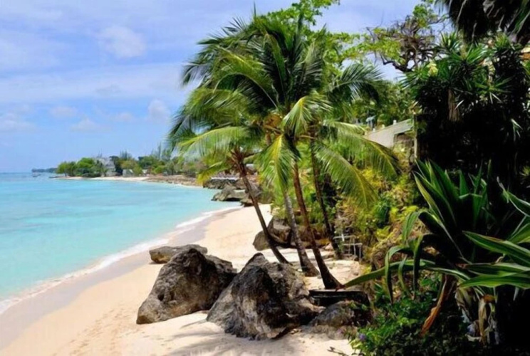Secret Cove 4