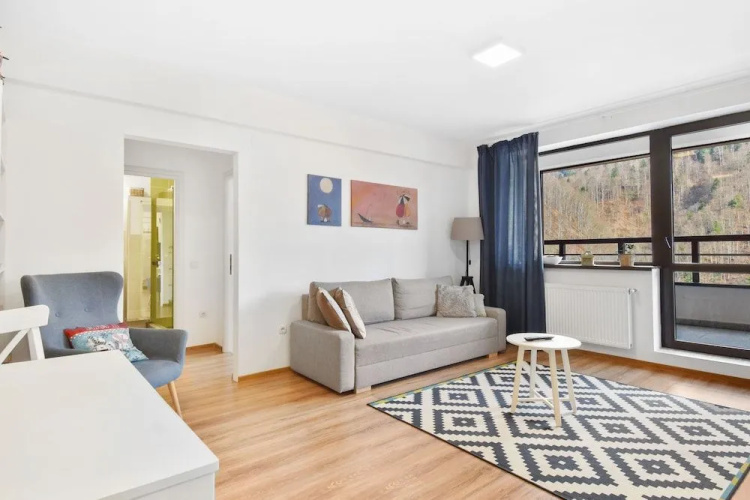 One Bedroom with Mountain View