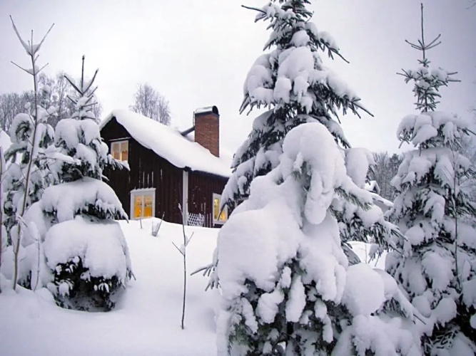 Wilderness Cottage