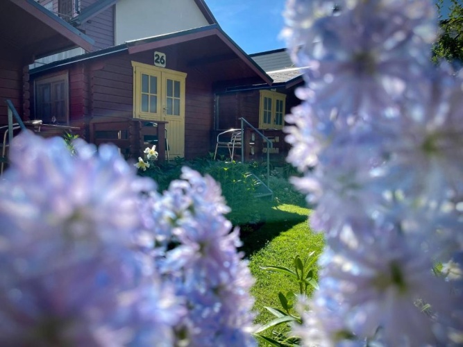 Bungalow