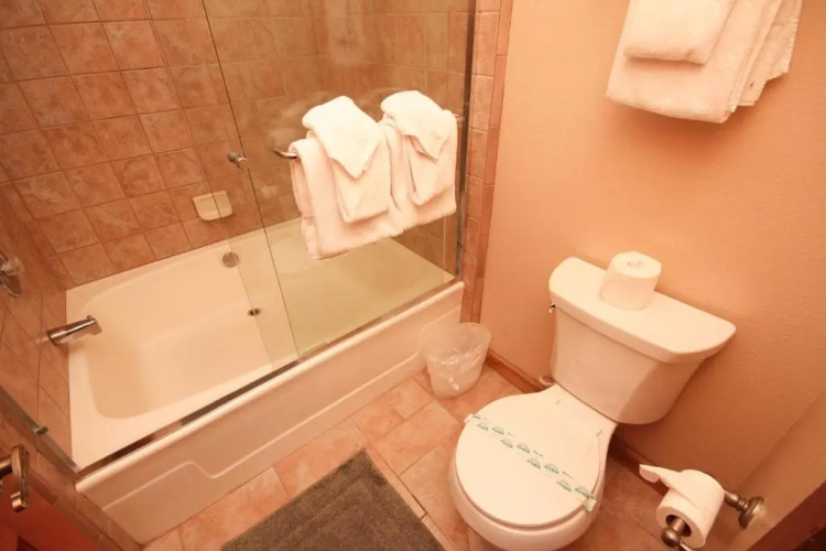Mountainback #59 dog friendly