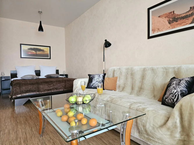 Фотография номера квартиры Живи уютно на улице Раахе 4