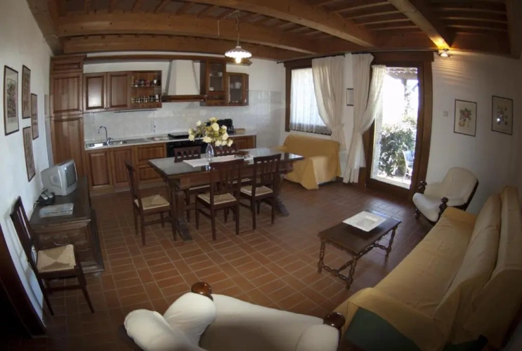 Basement Apartment