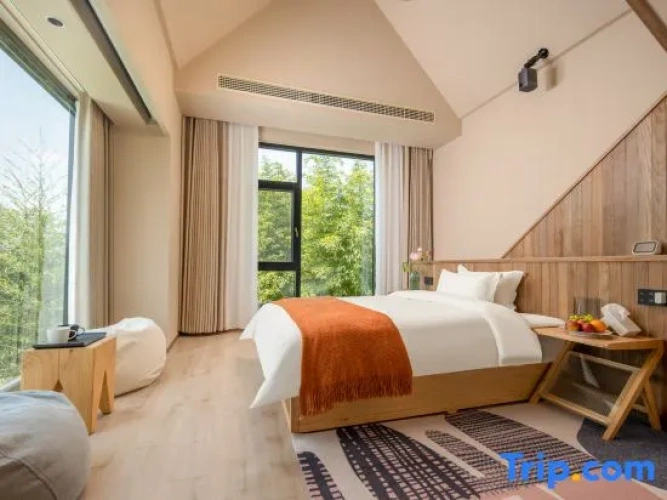 Comfort Suite