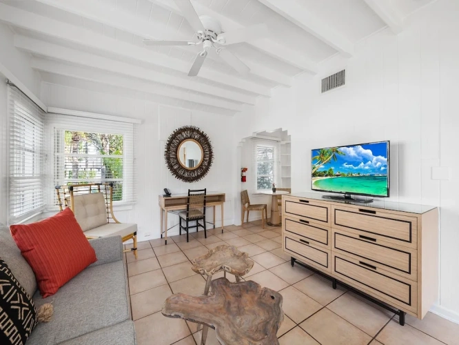1 Bedroom Villa