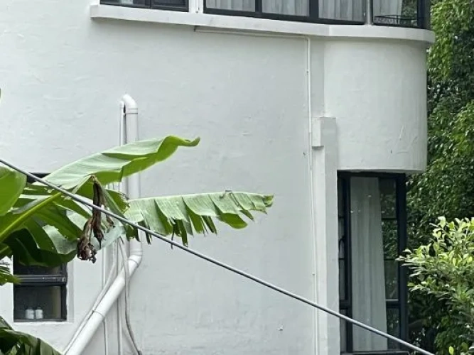 Zhaoqing Chidu Homestay